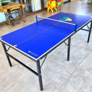 Mesa Ping Pong Grande (Profesional)