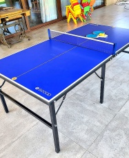 Mesa Ping Pong Grande (Profesional)