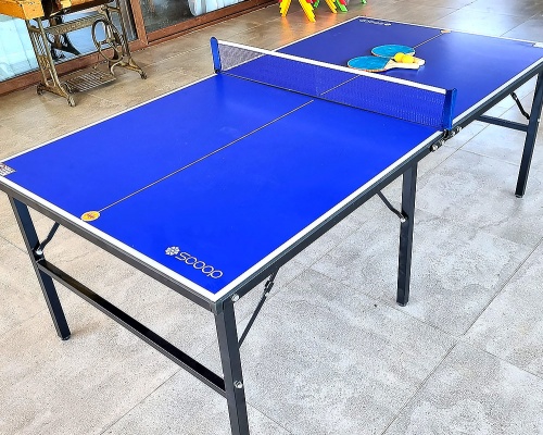 Mesa Ping Pong Grande (Profesional)