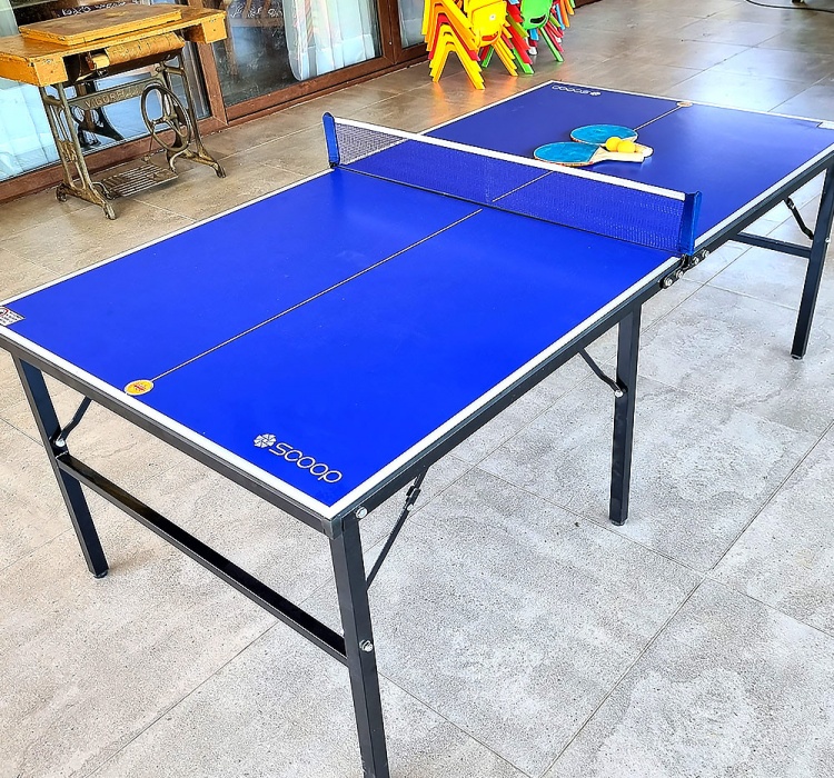 Mesa Ping Pong Mediana