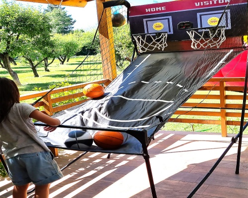 Juego Basquetbol Doble