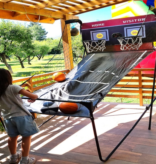 Juego Basquetbol Doble