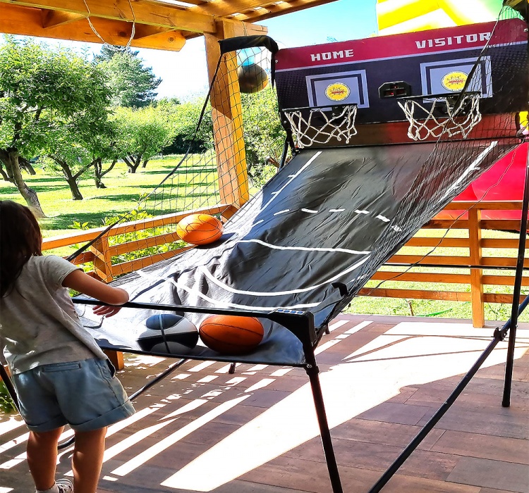 Juego Basquetbol Doble